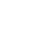 aries Icon