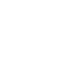 gemini Icon