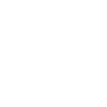 leo Icon