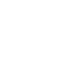taurus Icon