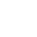 virgo Icon